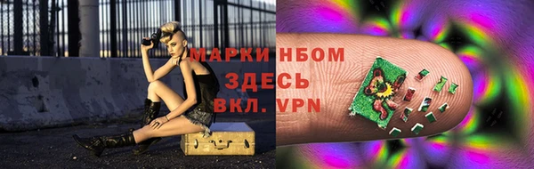 кокс Алексин