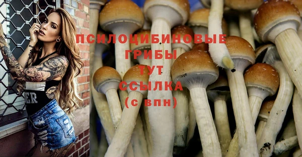 гашиш Алексеевка