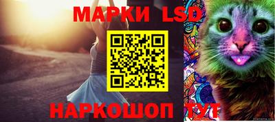 индика Шахты