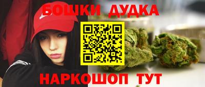 индика Шахты