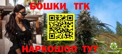 индика Шахты