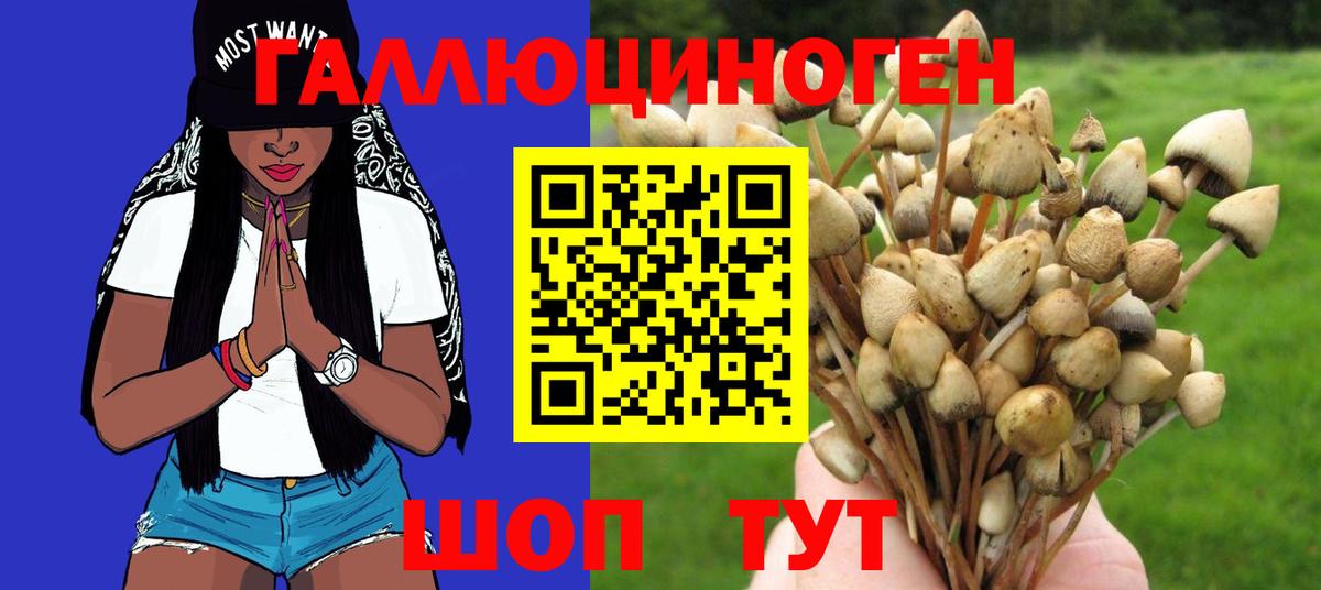 Переславль-Залесский  Псилоцибиновые грибы прущие грибы  Вход с VPN  Псилоцибиновые грибы Magic Shrooms 